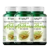 Óleo de Semente de Abóbora  1400 mg - Kit c/3 - 60 cápsulas Softgel